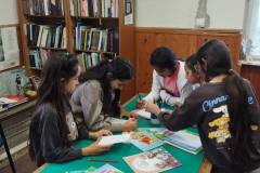 IMG-a710529b93aba40bb218abf016db23d4-V