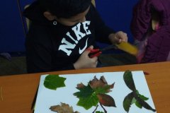 IMG-7ca0f3edda1bd22582c90a45903f868a-V