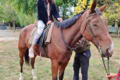 IMG-130c9367ea73d54945cf784327e00cb7-V