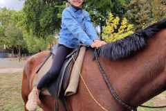 IMG-811b5d3a5d716031c473d9713c98a354-V